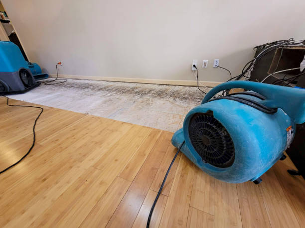 Professional Basement Flood Cleanup technician working in Roebling, NJ